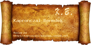 Kapronczai Benedek névjegykártya